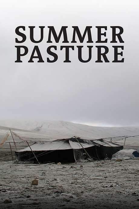 Summer Pasture